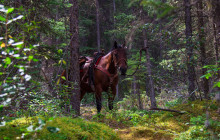 Discover Banff11