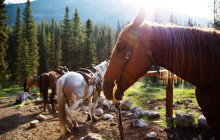 Discover Banff17