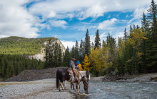 Discover Banff4