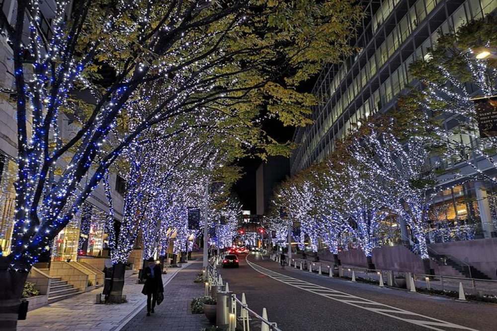 Private & Unique Tokyo Cherry Blossom Experience