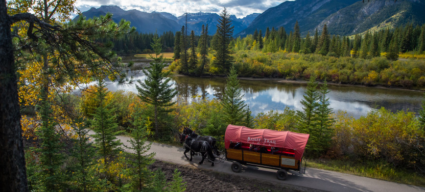 Small Group: 3 Hour Banff Trail Riders Cowboy Cookout by Wagon