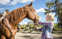 Discover Banff8
