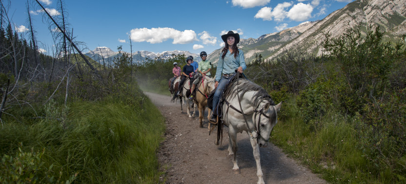 Small Group: 2 Hour Banff Trail Riders Sundance Loop Ride