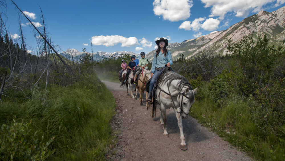 Small Group: 2 Hour Banff Trail Riders Sundance Loop Ride - Banff ...