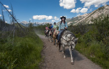Discover Banff3