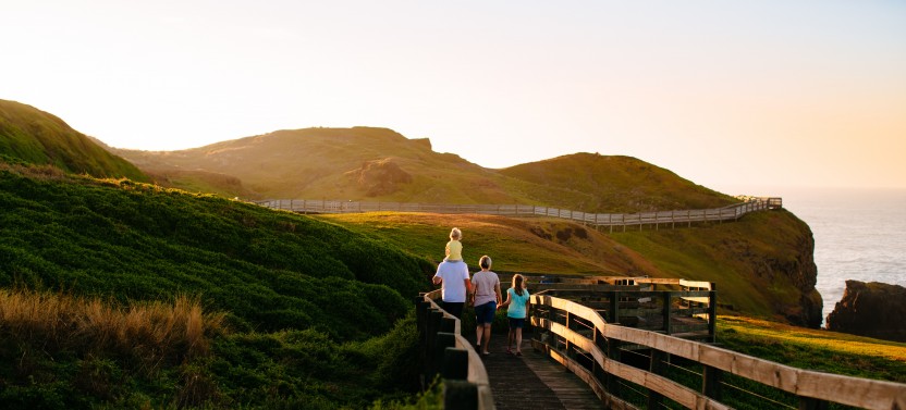 French Island & Phillip Island Wildlife Expedition