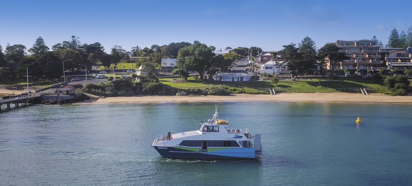 French Island & Phillip Island Wildlife Expedition