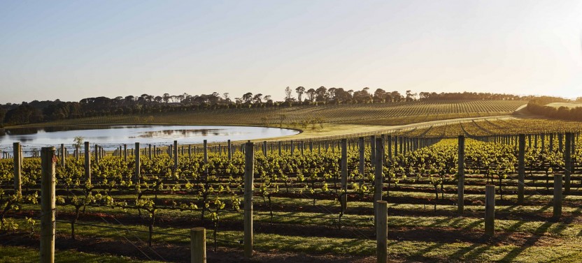 Mornington Peninsula Food & Wine Taste Trail