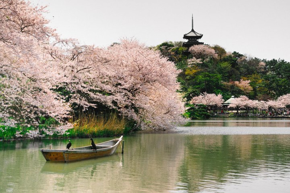 Private Yokohama Family Tour With Local Guides