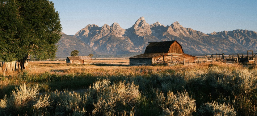 Private Full-Day Grand Teton Wildlife Safari and Biking Tour