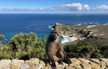 African Moon Adventures (Pty) Ltd5