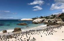 African Moon Adventures (Pty) Ltd7