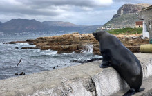 African Moon Adventures (Pty) Ltd8