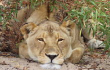 African Moon Adventures (Pty) Ltd1