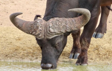 African Moon Adventures (Pty) Ltd3