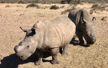 African Moon Adventures (Pty) Ltd4