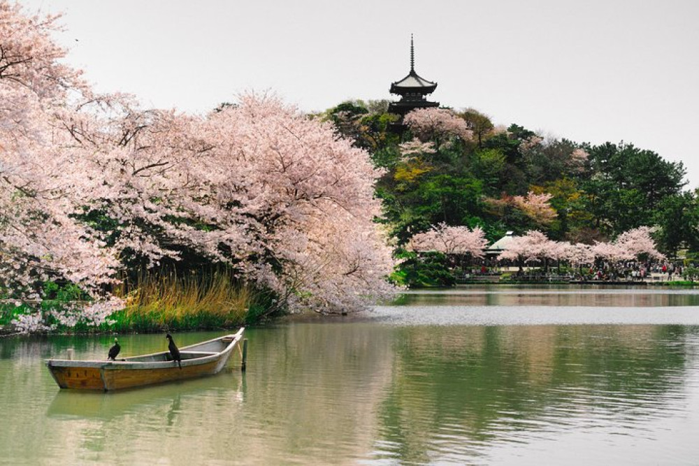 Yokohama Private Tour With Locals: See The City Unscripted