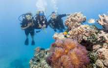 Ocean Free & Ocean Freedom Cairns Premier Reef & Island Tours7