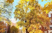 See Sight Tours - Canada18