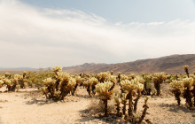 Good Trip Adventures - California1