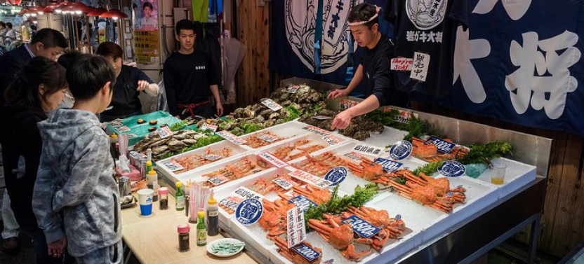 Kanazawa Half Day Private Tour: Local Highlights & Hidden Gems