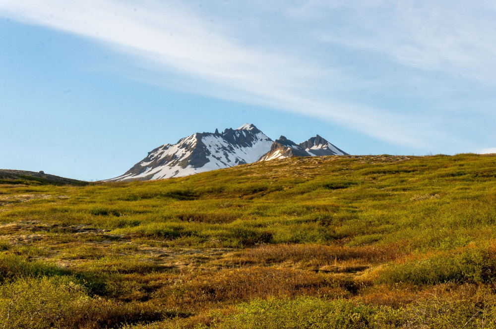 Skaftafell Panorama Hike