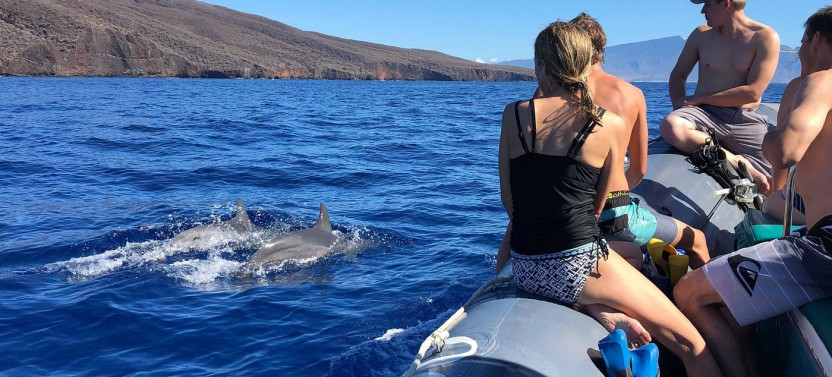 Small Group Eye-Level Dolphin Watch Sightsee Eco-Raft Tour