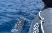 Hawaii Ocean Rafting4