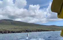 Hawaii Ocean Rafting6