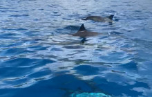 Hawaii Ocean Rafting22