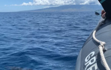 Hawaii Ocean Rafting26