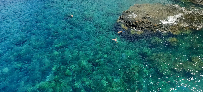 Semi-Private: 5 Hour Eco-Raft Lanai Snorkel and Dolphin Watch