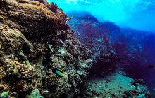 Hawaii Ocean Rafting7