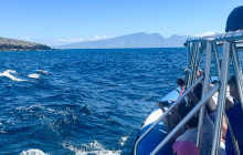 Hawaii Ocean Rafting21