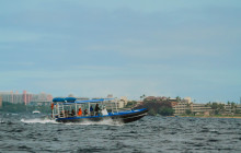 Hawaii Ocean Rafting25