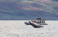 Hawaii Ocean Rafting2
