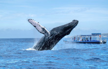 Hawaii Ocean Rafting3