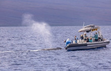 Hawaii Ocean Rafting5