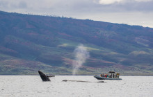 Hawaii Ocean Rafting9