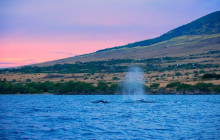 Hawaii Ocean Rafting11