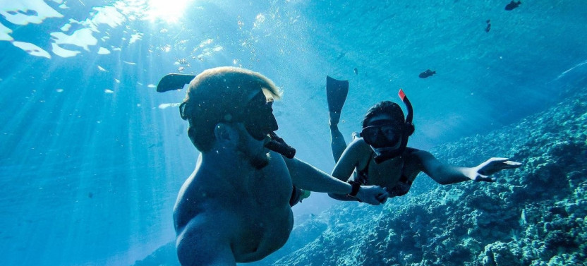 2 in 1 Semi-Private Eco-Raft 4 Hour Snorkel & Whale Watch