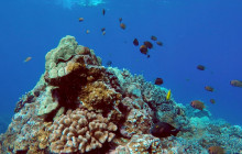 Hawaii Ocean Rafting5