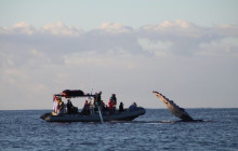 Hawaii Ocean Rafting17