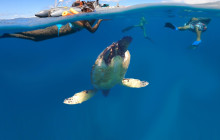 Hawaii Ocean Rafting8