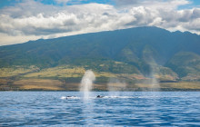 Hawaii Ocean Rafting21