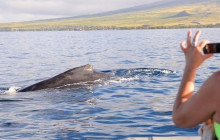 Hawaii Ocean Rafting22