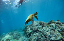 Hawaii Ocean Rafting10