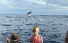 Hawaii Ocean Rafting12