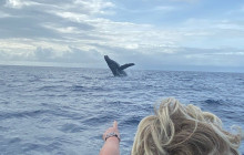 Hawaii Ocean Rafting27