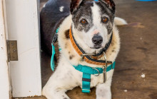 Hawaii Ocean Rafting30